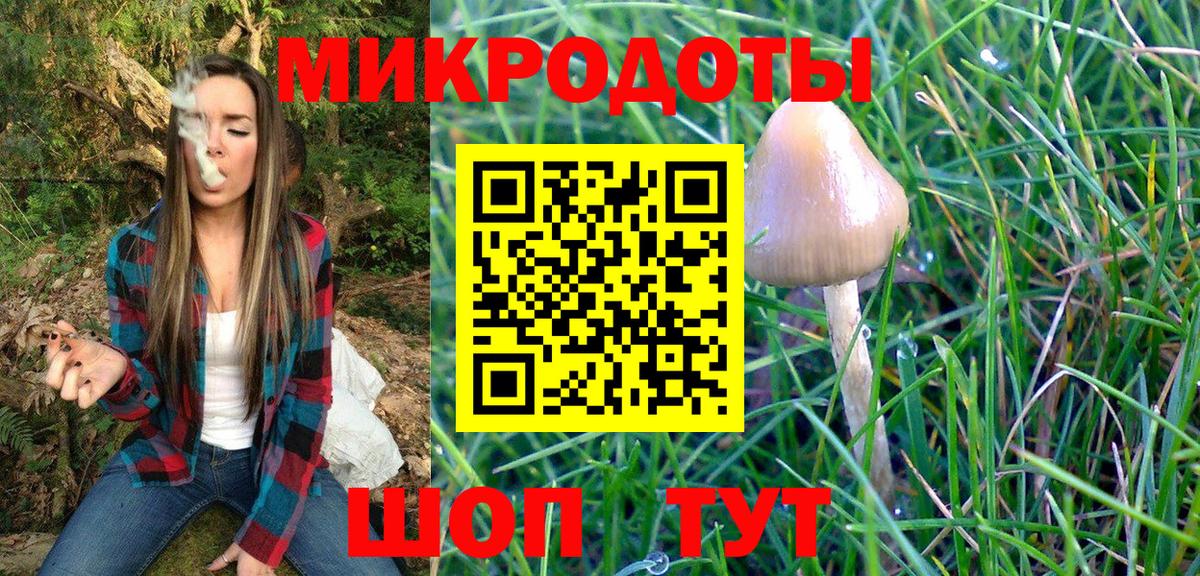 Псилоцибиновые грибы Psilocybine cubensis  Вход с VPN  Кулебаки 